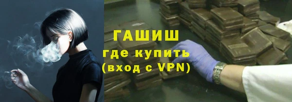 дживик Краснослободск