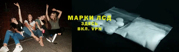 дживик Краснослободск
