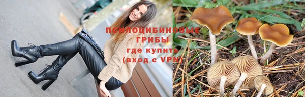 герыч Коряжма