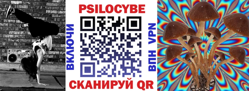 мега зеркало  магазин продажи   Норильск  Галлюциногенные грибы Cubensis 