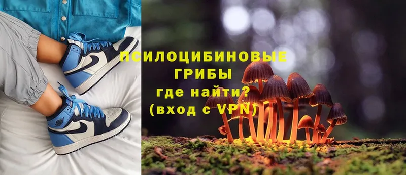 Галлюциногенные грибы Cubensis Норильск