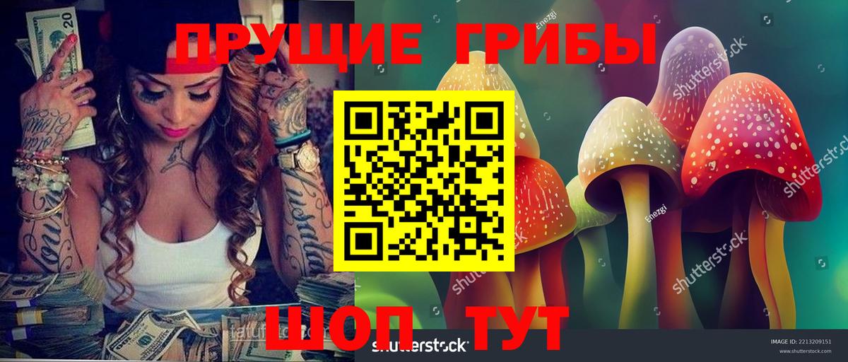 Норильск  Галлюциногенные грибы GOLDEN TEACHER  Вход с VPN 