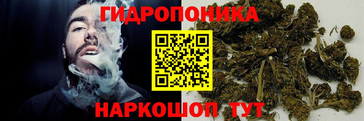 Бошки марихуана марихуана  Каннабис ГИДРОПОН  Норильск 